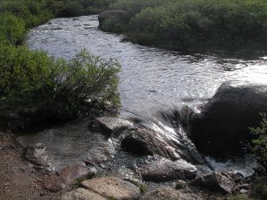 Natural stream illustrating the waterways protected through construction water quality monitoring.