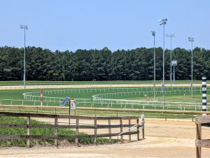 The infield turf course at Colonial Downs Racetrack in New Kent County, Virginia, viewed across the dirt racing surface.