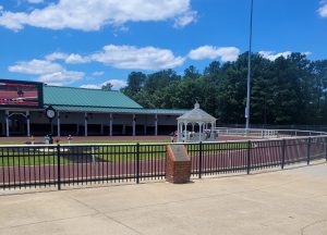 Colonial Downs Paddock